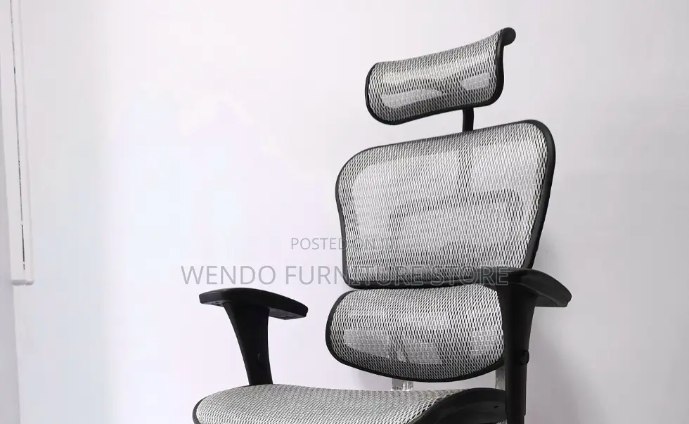 Office Chairs; Orthopedic Executive Ww7u-P Office Chairs