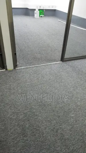 Soft Grey Delta Wall to Wall Carpet for Bedroom and Sitting Room