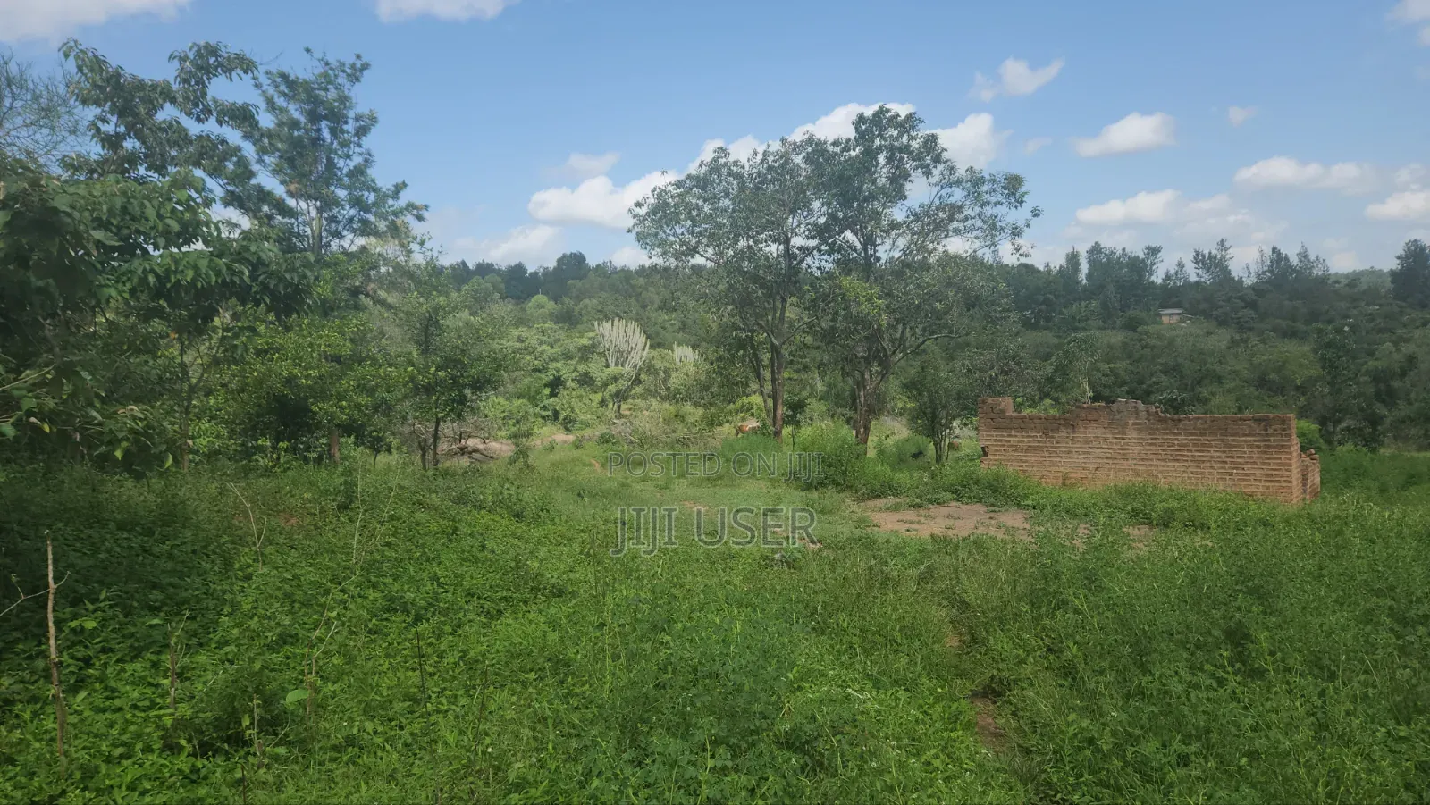 1.5 Acre Ithanga
