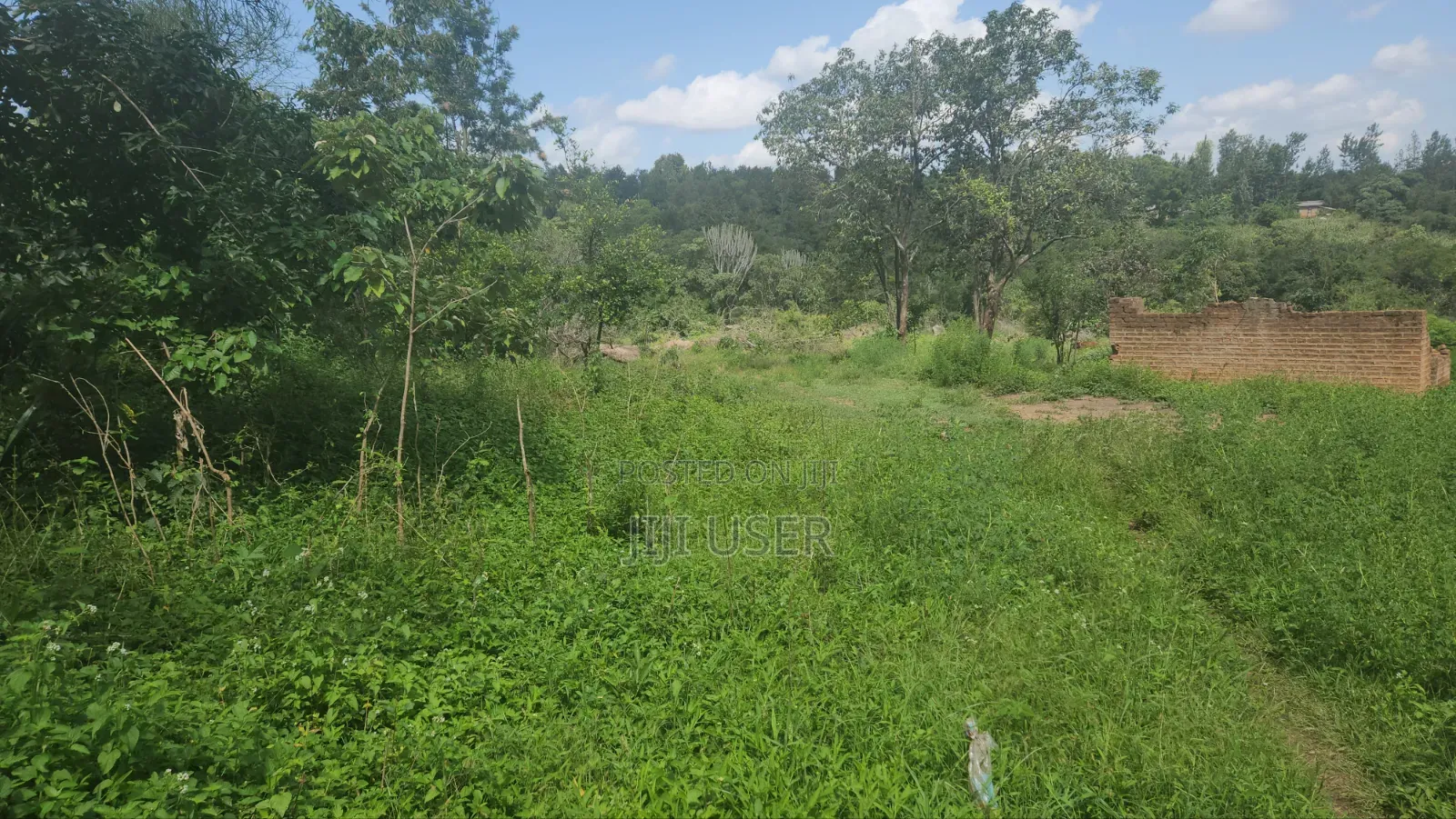 1.5 Acre Ithanga