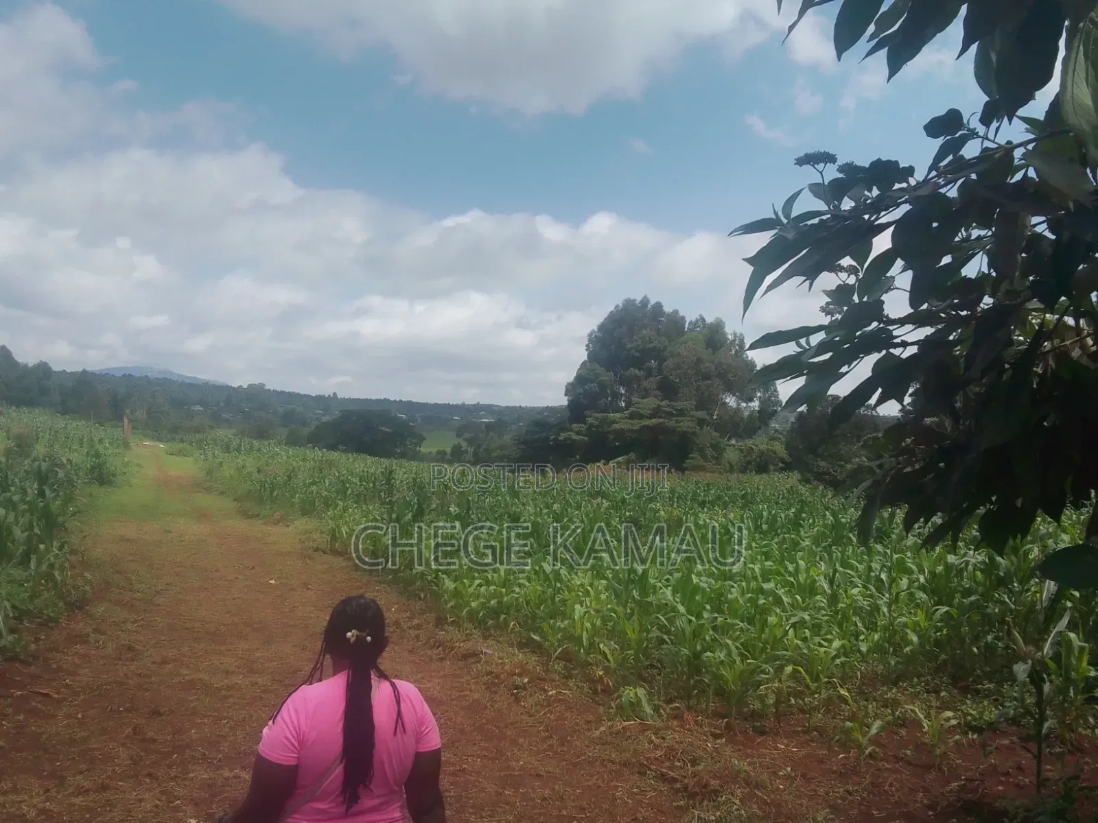 Land for Sale