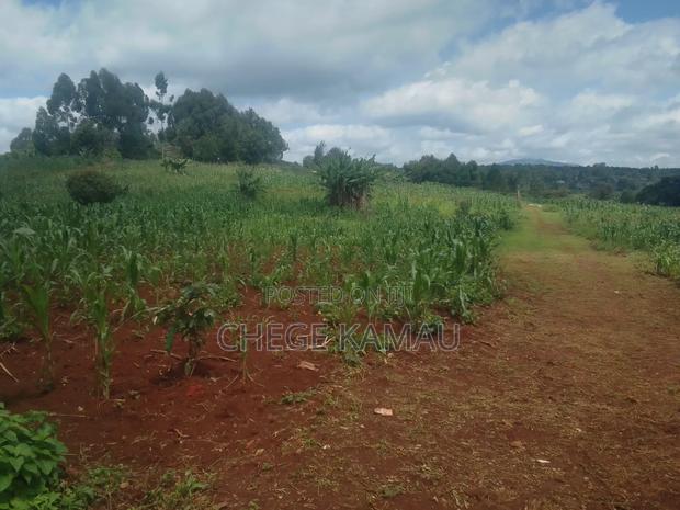 Land for Sale - thumbnail 3
