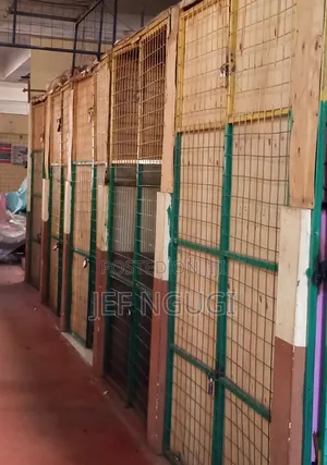 Two Stalls Joined(2 in 1) for Transfer With or Without Stock