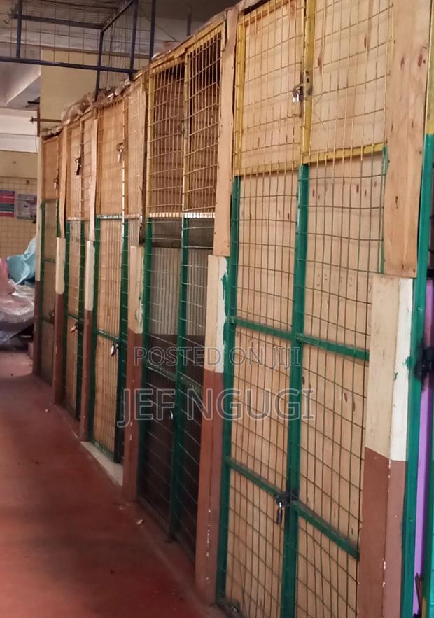 Two Stalls Joined(2 in 1) for Transfer With or Without Stock - thumbnail 3