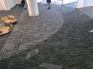 Elegant Grey Floor Carpets Tiles