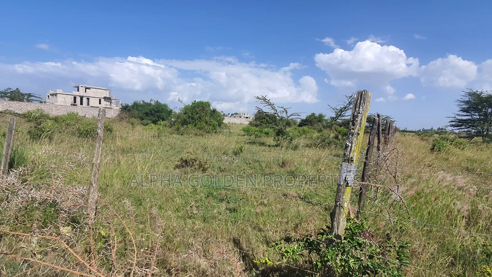 Prime 1 Acre Touching Olpajeta Main Road