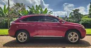 Lexus RX 2010 Maroon