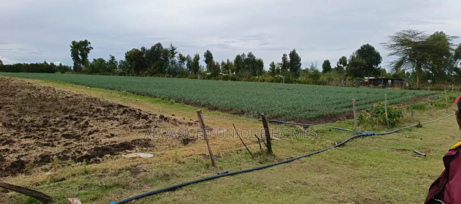100 Acres for Sale –Subego Area Ndaragwa
