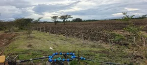 100 Acres for Sale –Subego Area Ndaragwa