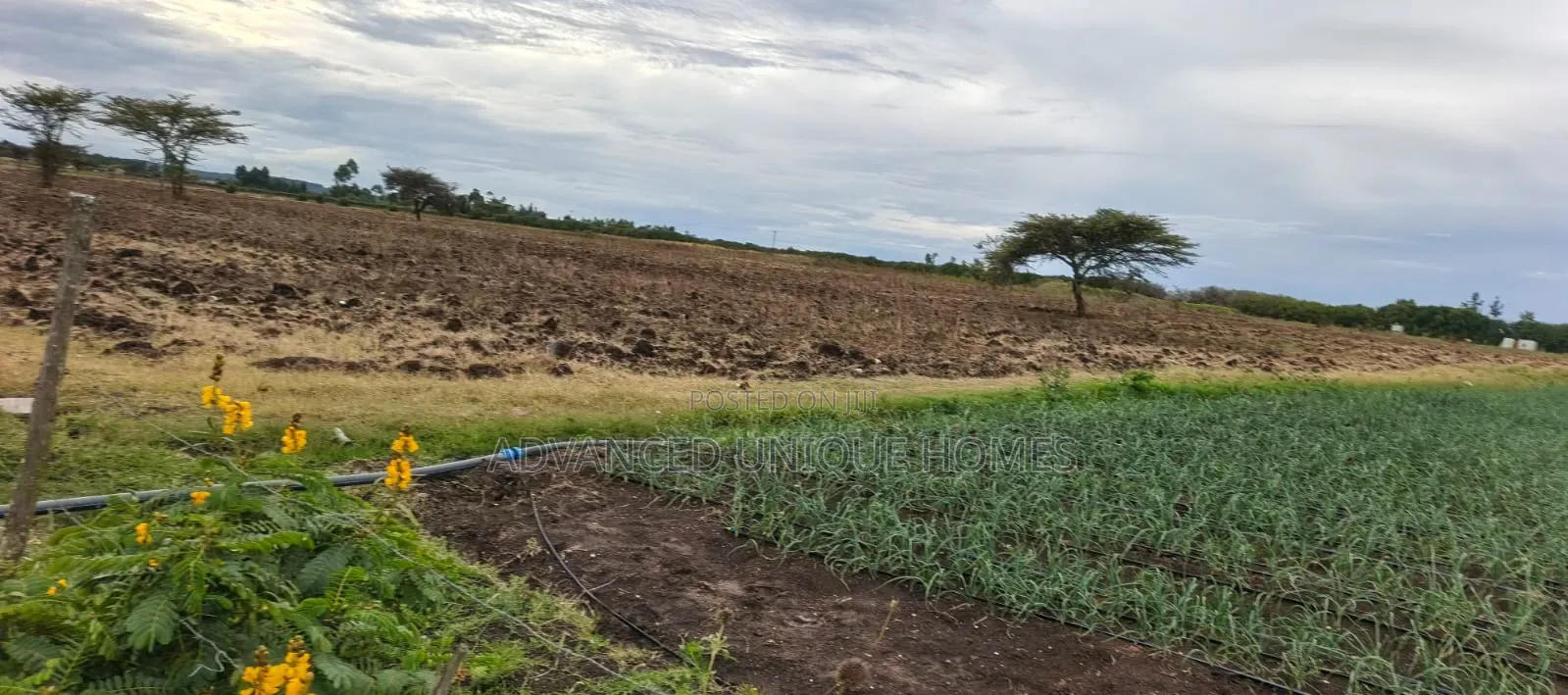 100 Acres for Sale –Subego Area Ndaragwa