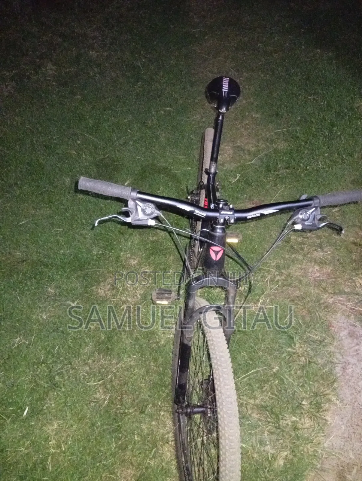 Bicycle Premier Rider