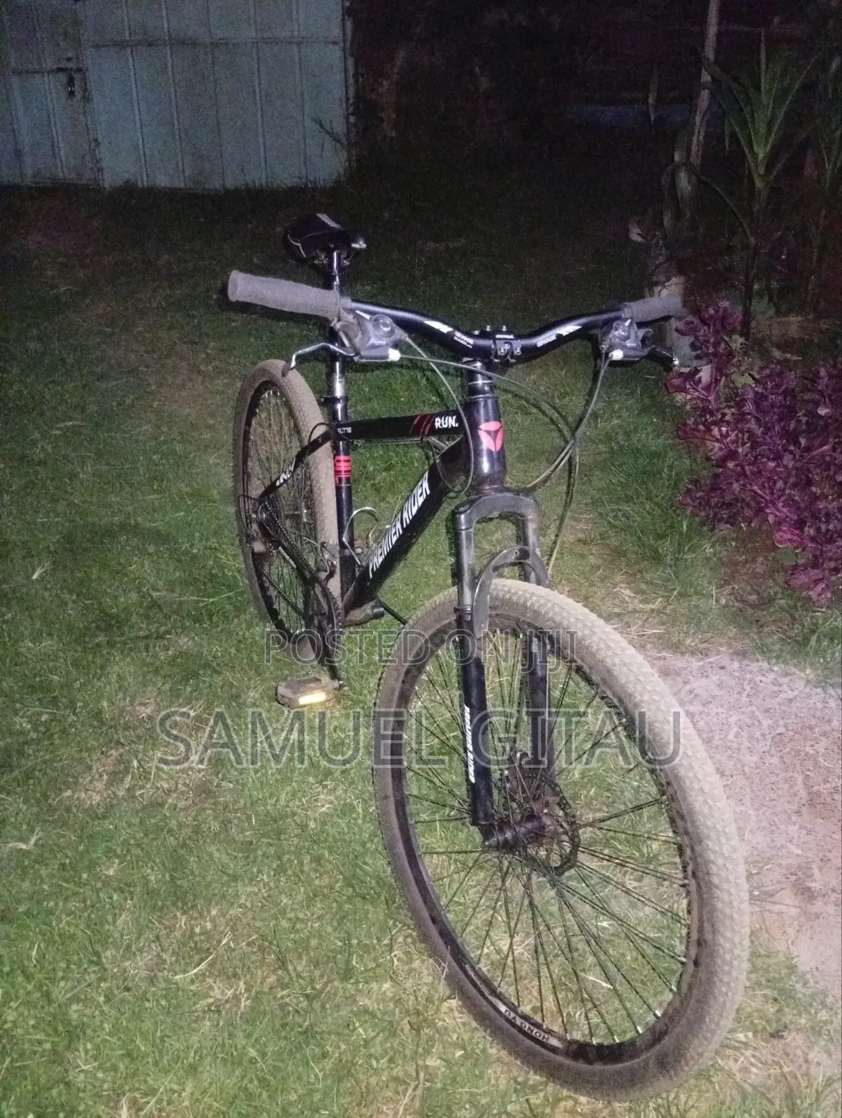 Bicycle Premier Rider
