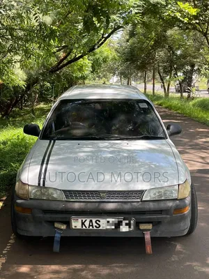 Toyota Corolla 1999 White