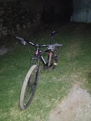 Bicycle Premier Rider