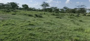 64 Acres for Sale – Mogotio Muserechi Area
