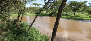 64 Acres for Sale – Mogotio Muserechi Area