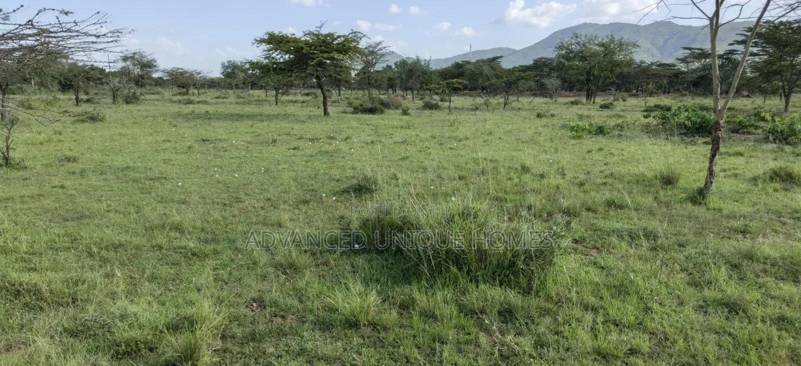 64 Acres for Sale – Mogotio Muserechi Area