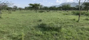 64 Acres for Sale – Mogotio Muserechi Area