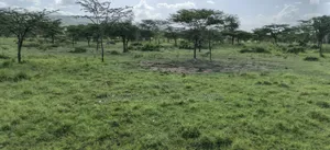 64 Acres for Sale – Mogotio Muserechi Area