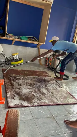Professional Carpet Cleaning