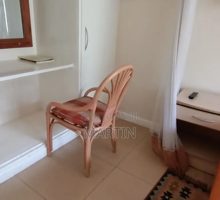 Furnished Mini Flat in Nairobi Central for rent