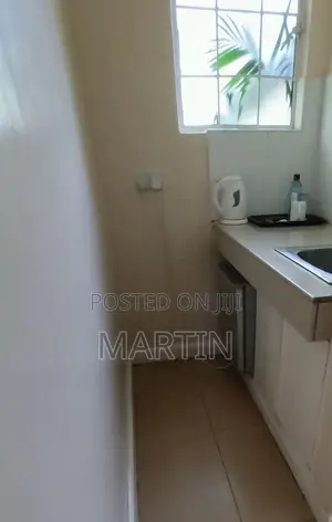 Furnished Mini Flat in Nairobi Central for rent