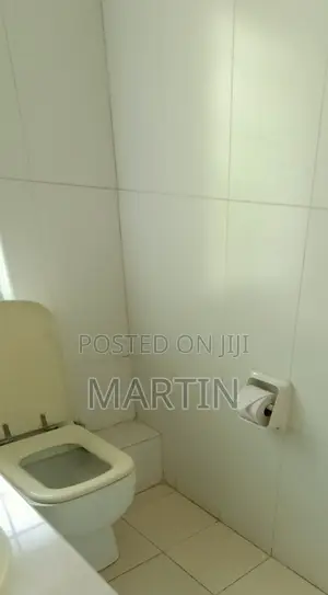 Furnished Mini Flat in Nairobi Central for rent