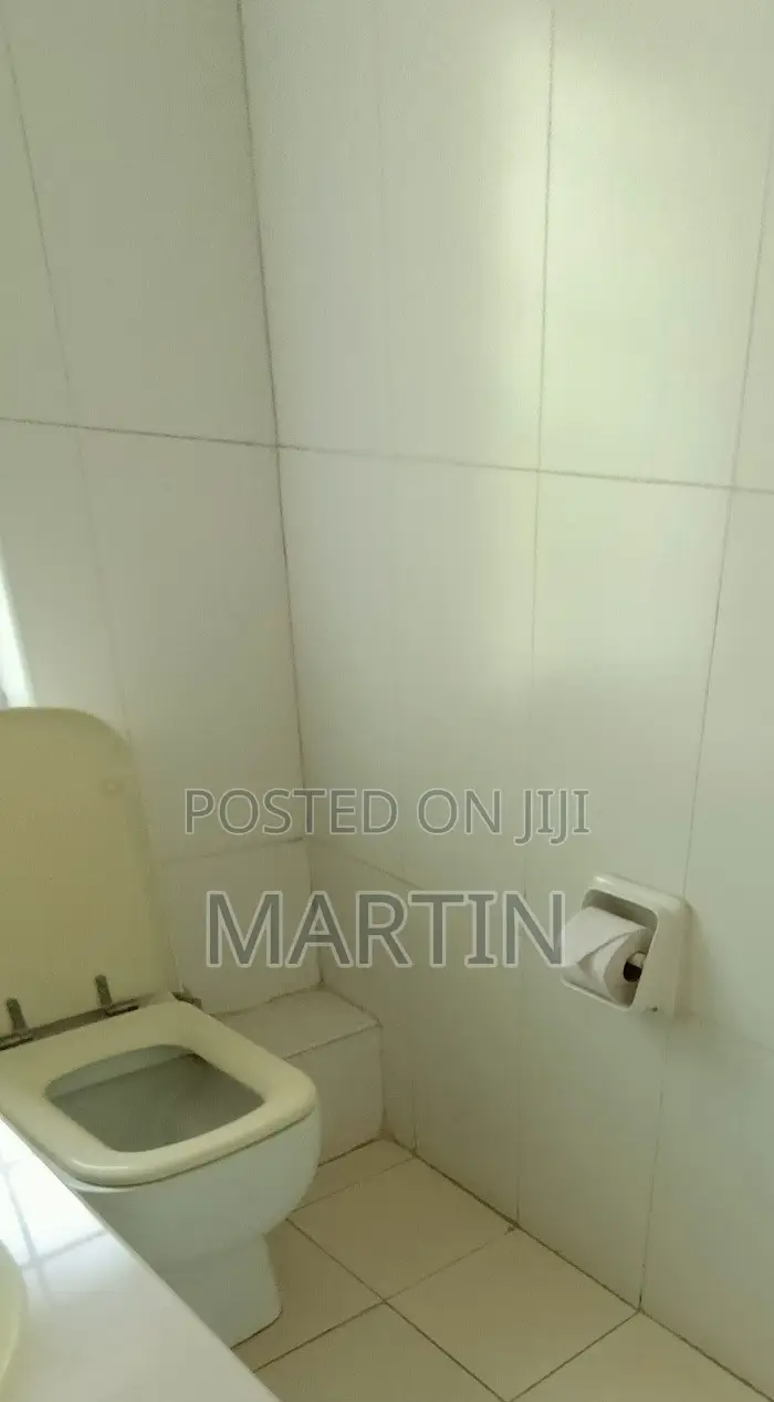 Furnished Mini Flat in Nairobi Central for rent