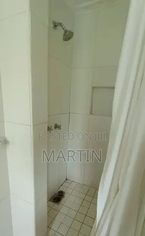 Furnished Mini Flat in Nairobi Central for rent