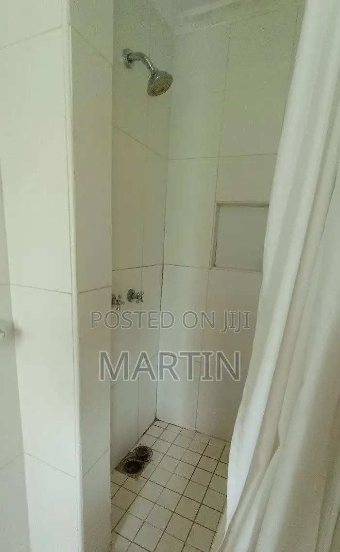 Furnished Mini Flat in Nairobi Central for rent
