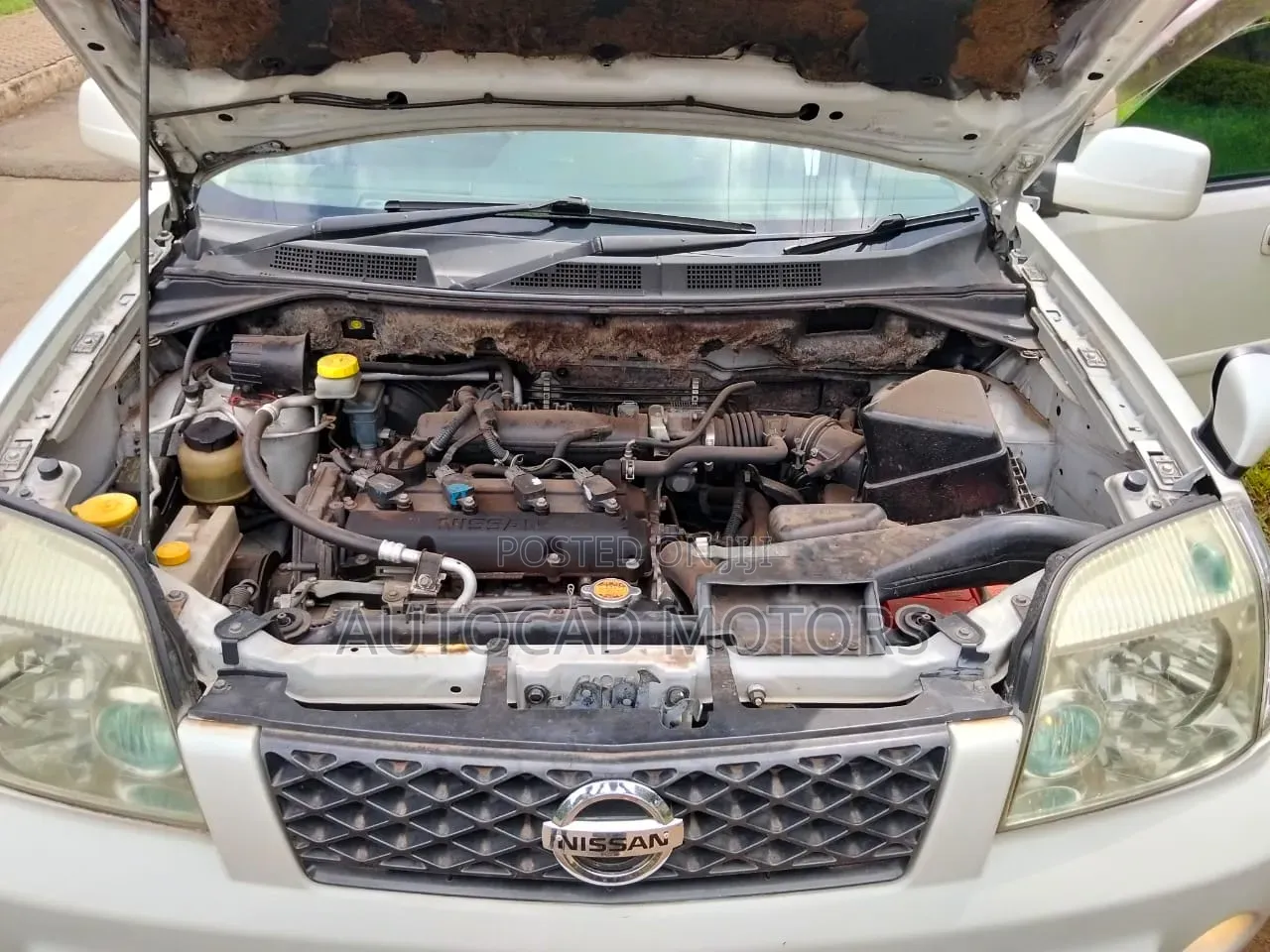 Nissan X-Trail 2.0 2005 Pearl