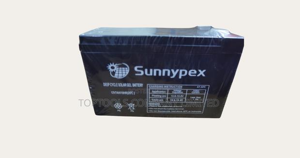 12v7ah10hr Sunnypex Deep Cycle Backup Battery
