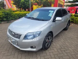 Toyota Axio 2009 Silver