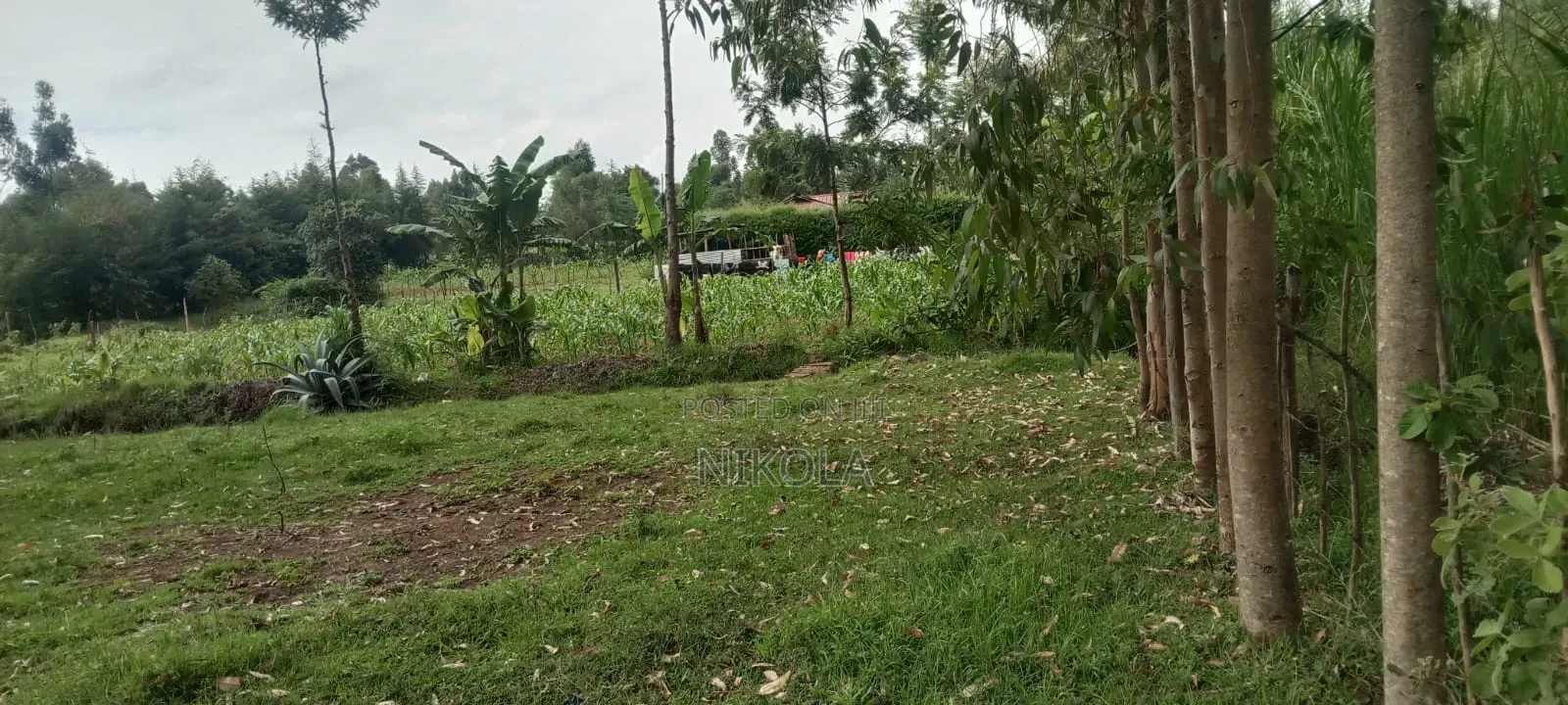 Ngeria Land for Sell