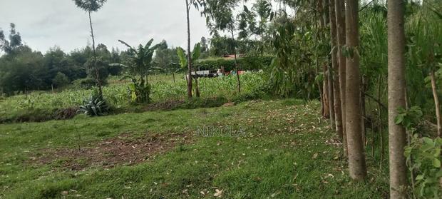 Ngeria Land for Sell