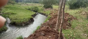 Ngeria Land for Sell