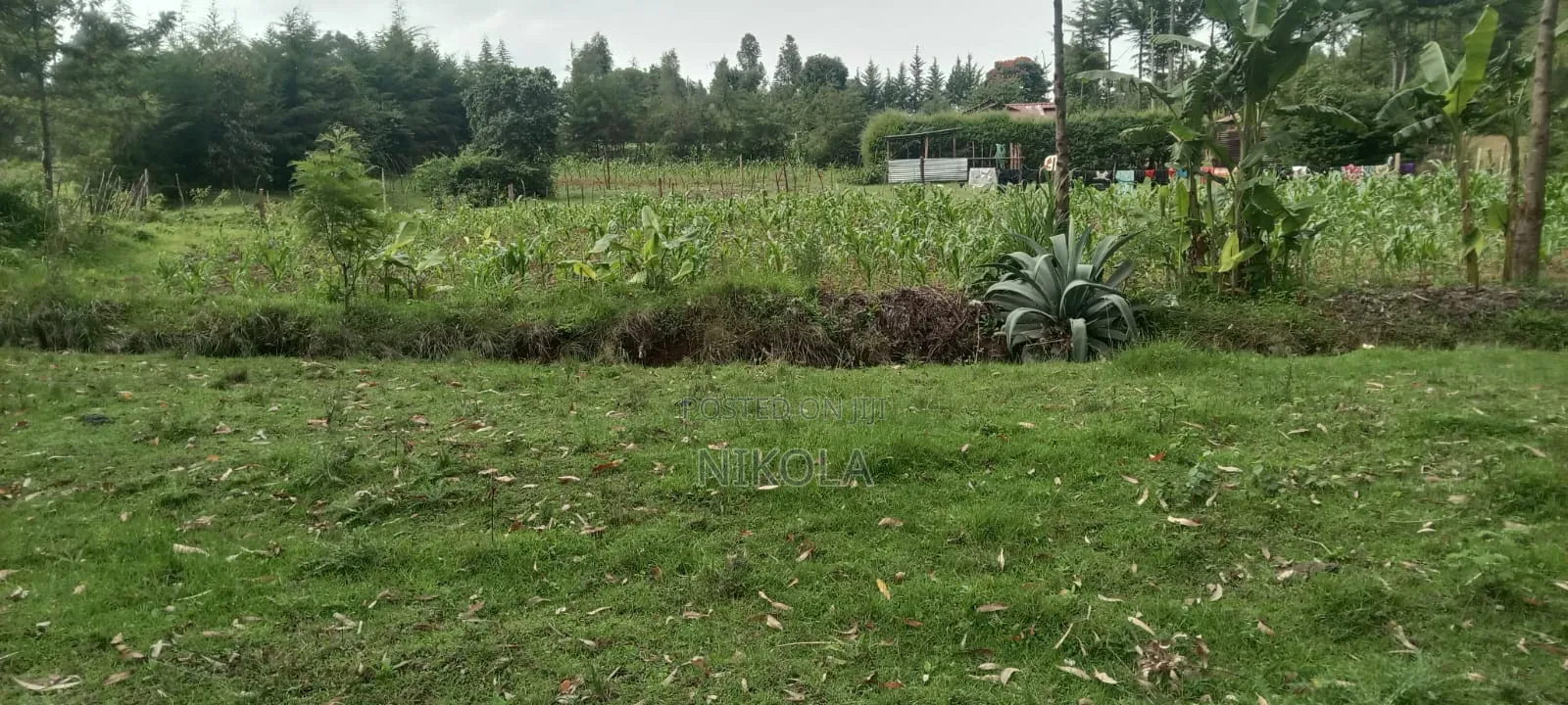 Ngeria Land for Sell