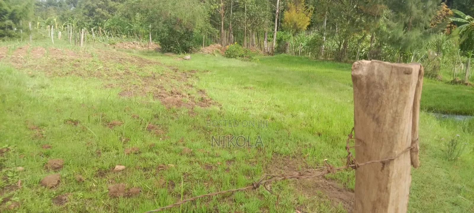 Ngeria Land for Sell