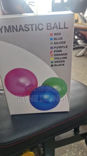 Gymnastics Ball* Therapy Balls