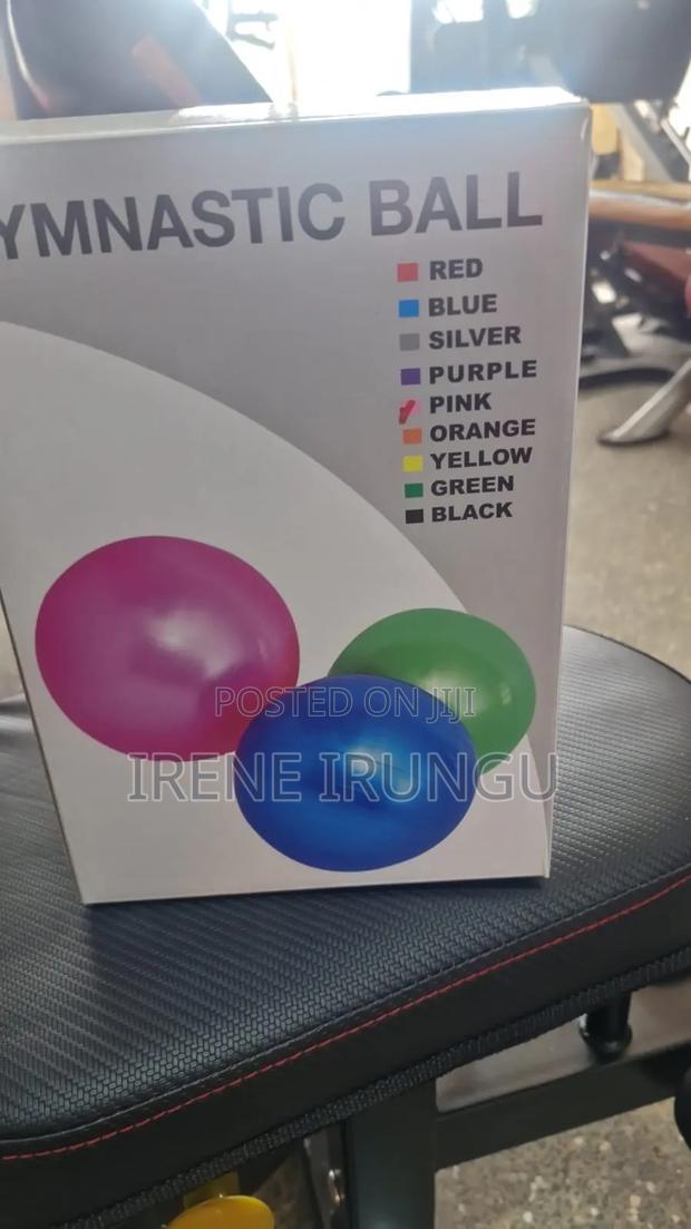 Gymnastics Ball* Therapy Balls