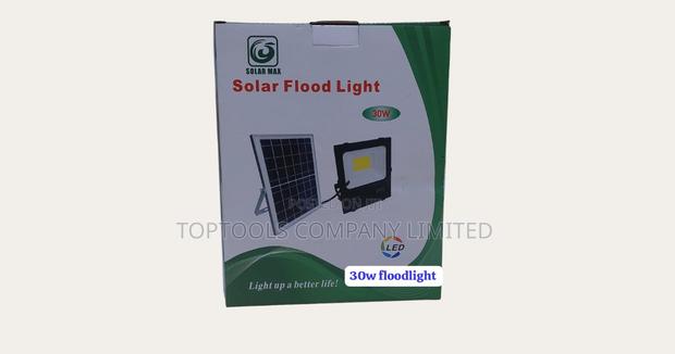 30watts Direct Solar Floodlight - main view