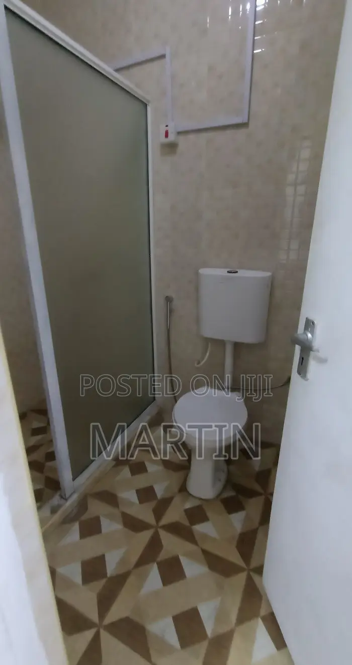 Furnished Mini Flat in Nairobi Central for rent