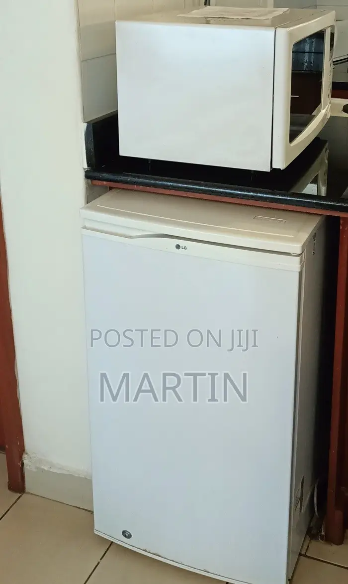 Furnished Mini Flat in Nairobi Central for rent