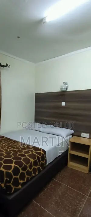Furnished Mini Flat in Nairobi Central for rent