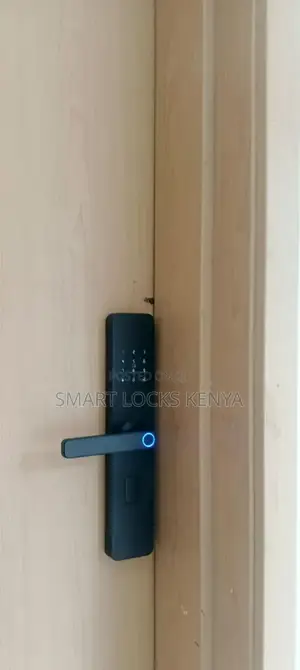 Smart Locks Tuya Wifi Biometric Door Lock
