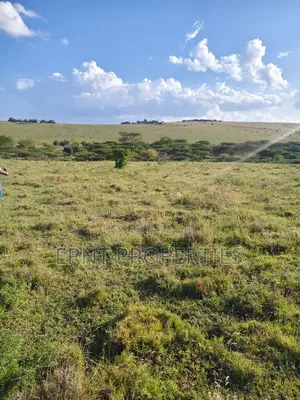 35 Acres for Sale in Inkiito