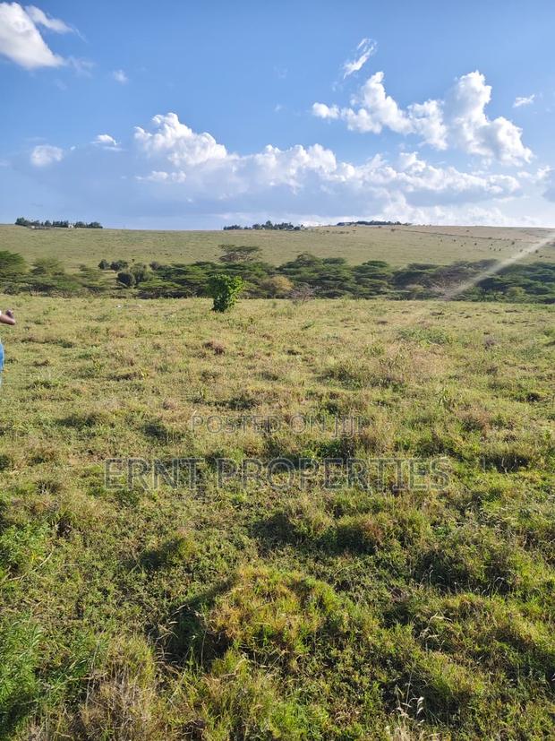 35 Acres for Sale in Inkiito - main view