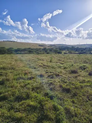 35 Acres for Sale in Inkiito