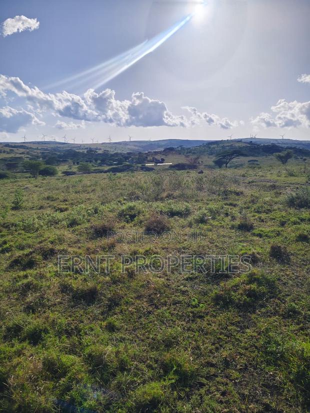 35 Acres for Sale in Inkiito - thumbnail 7