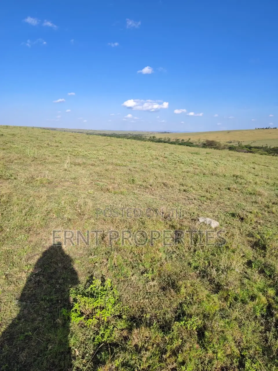 35 Acres for Sale in Inkiito